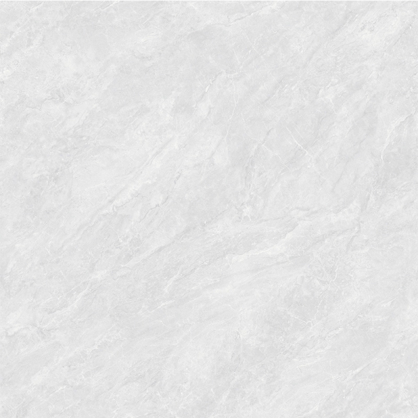 8JL005