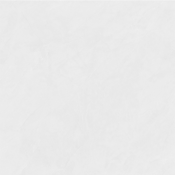 8JL010